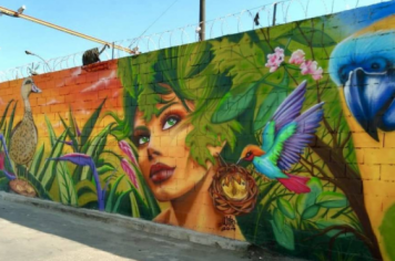 Projeto reconhece grafite e  muralismo  como  forma  de  expressão artística