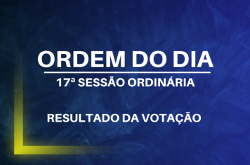 Resultado da Ordem do Dia da 17ª Sessão Ordinária 2024